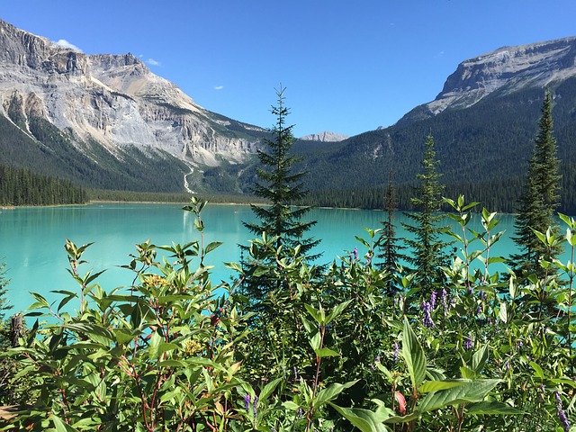 10 Things to Do with Kids in the Canadian Rockies