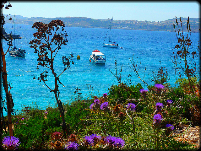 7 Stunning Malta Beaches - Pink Pangea: Travel Writing & Retreats for Women