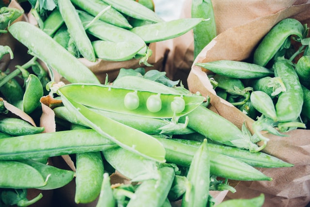 Slow Food: A Delicious Movement from Italy to Oregon