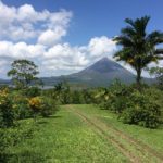 Domestic Goddess and Cattle Herder: My Homestay in Costa Rica