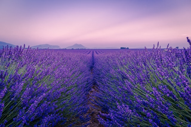 5 Places You Shouldn't Miss in Provence, France
