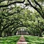 New Orleans Plantation Tours: The Horrible and the Honest