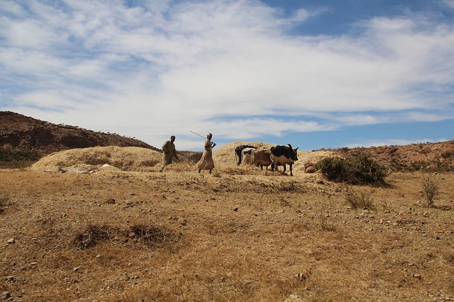 4 Eritrean Superstitions and Beliefs