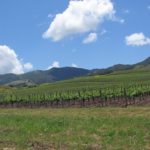 A Local’s Guide to Santa Ynez Valley