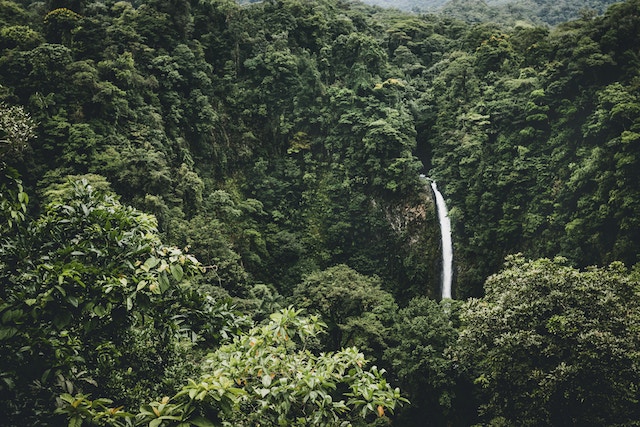 What Living in the Costa Rica Rainforest Taught Me