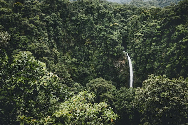 Costa Rica Rainforest What The Rainforest Taught Me About Life