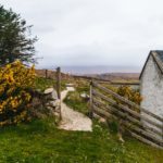 What to Expect from a Horseback Riding Vacation in Ireland