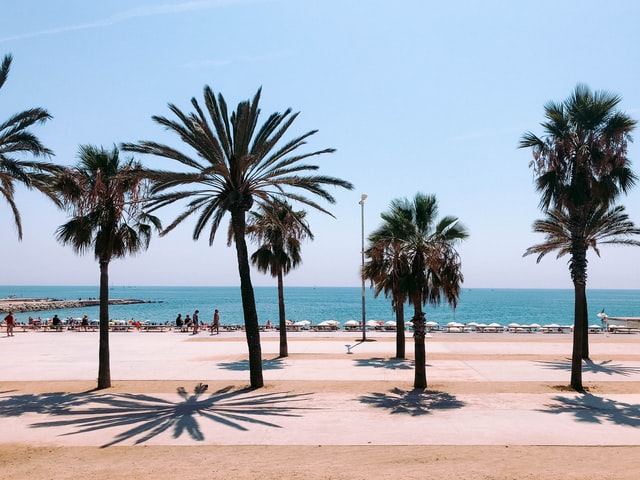 A First Timer's Guide to Barcelona
