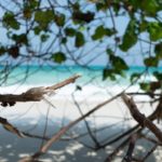 Why I Have Embraced Island Time on Solomon Islands