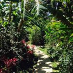 Two Weeks in Costa Rica: The Real Deal with Veronica James