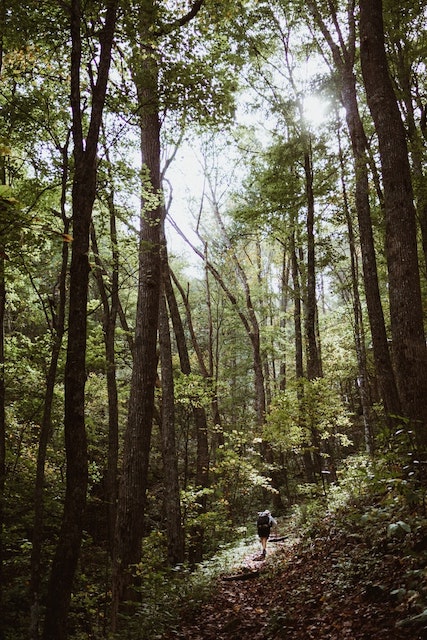 he Appalachian Trail