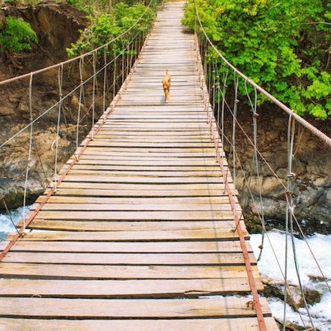 Chasing Waterfalls in Laos