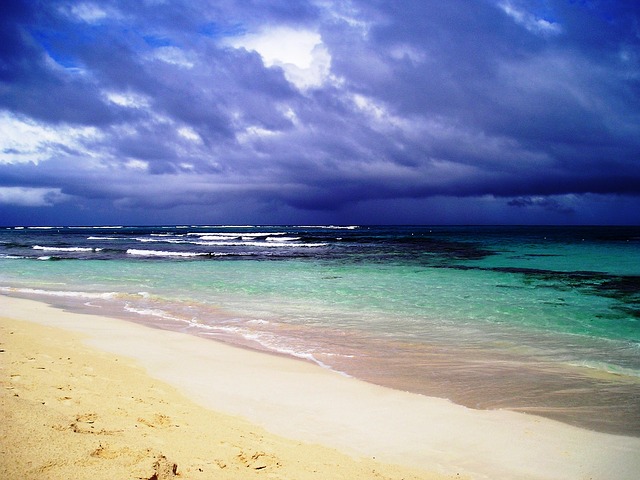 After the Storm in Puerto Rico, Music