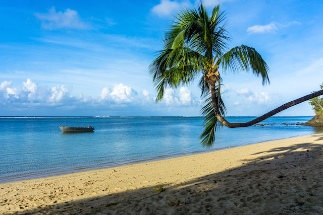 Being Vegetarian in Fiji: In Conversation with Chantae Reden