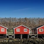 An Introvert’s Paradise: In Conversation with Norway Guidebook Author Margo Meyer