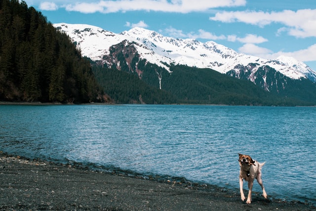 Seward Alaska