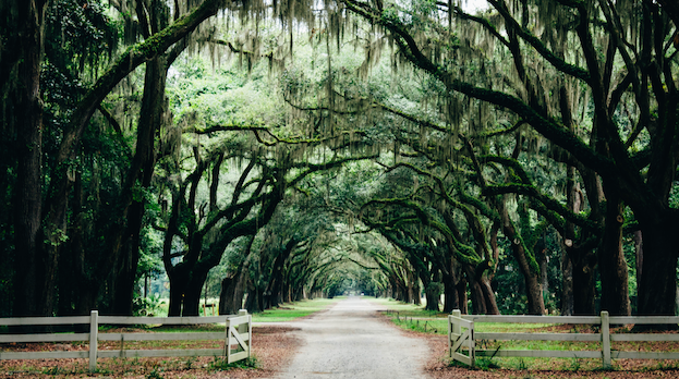 Pretty Parks and Sultry Squares of Savannah, Georgia