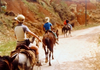 An Unforgettable Trip to Mount Kenscoff, Haiti.