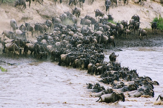 https://pixabay.com/photos/water-nature-kenya-africa-3093341/