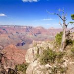 Finding Joy in the Grand Canyon
