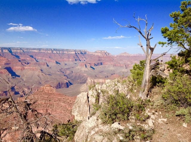 Finding Joy in the Canyon