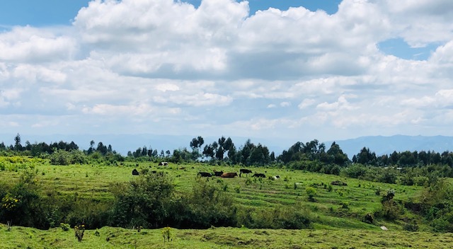 Why I traveled to Rwanda, Tanzania and Zanzibar During Covid-19