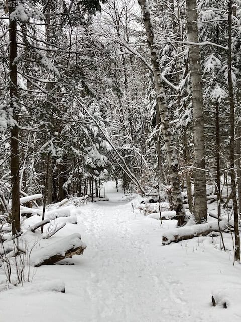 Saranac Lake winter